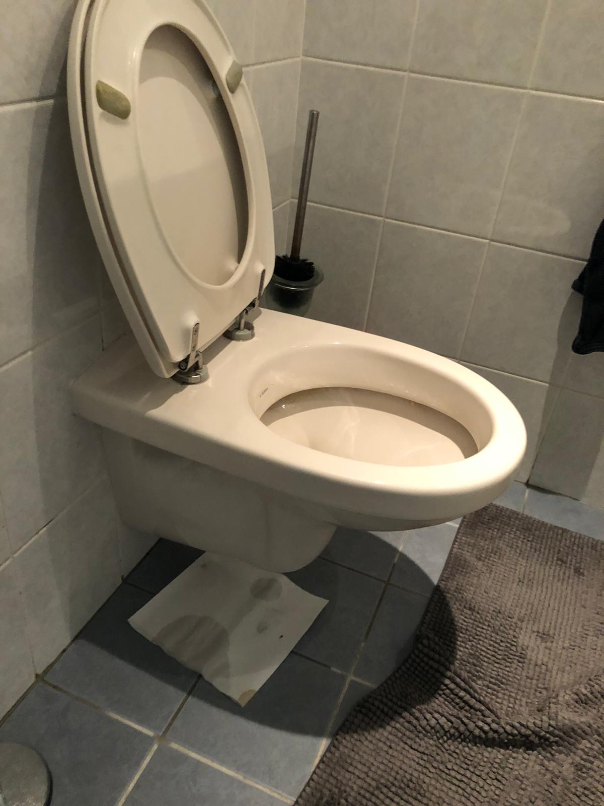 hangtoilet Rijsenhout